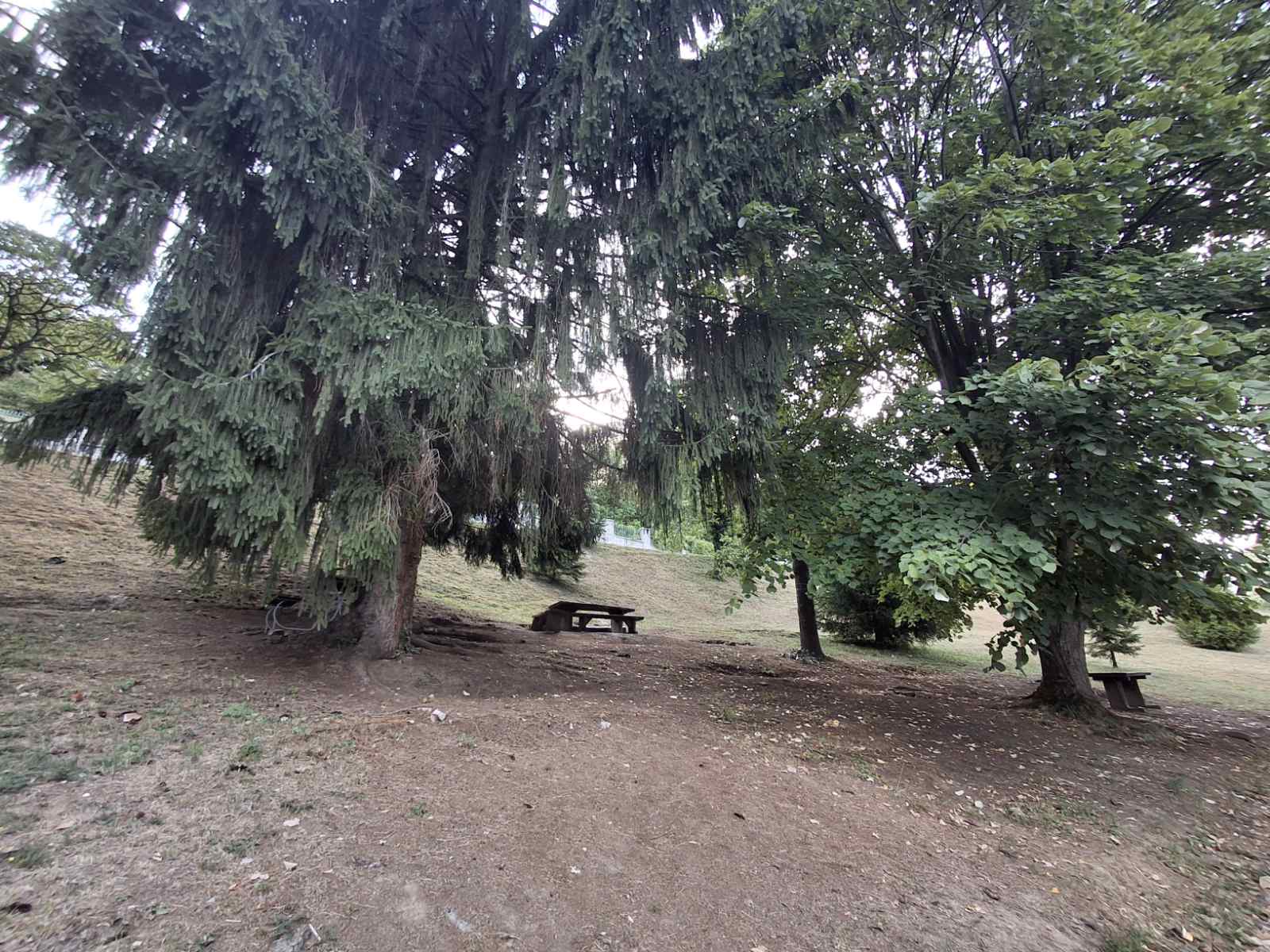 Zelena oaza Slavonije: Orahovačko jezero s bogatim sadržajima