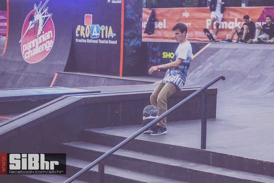 pannonian_petak2015_SiBhr31
