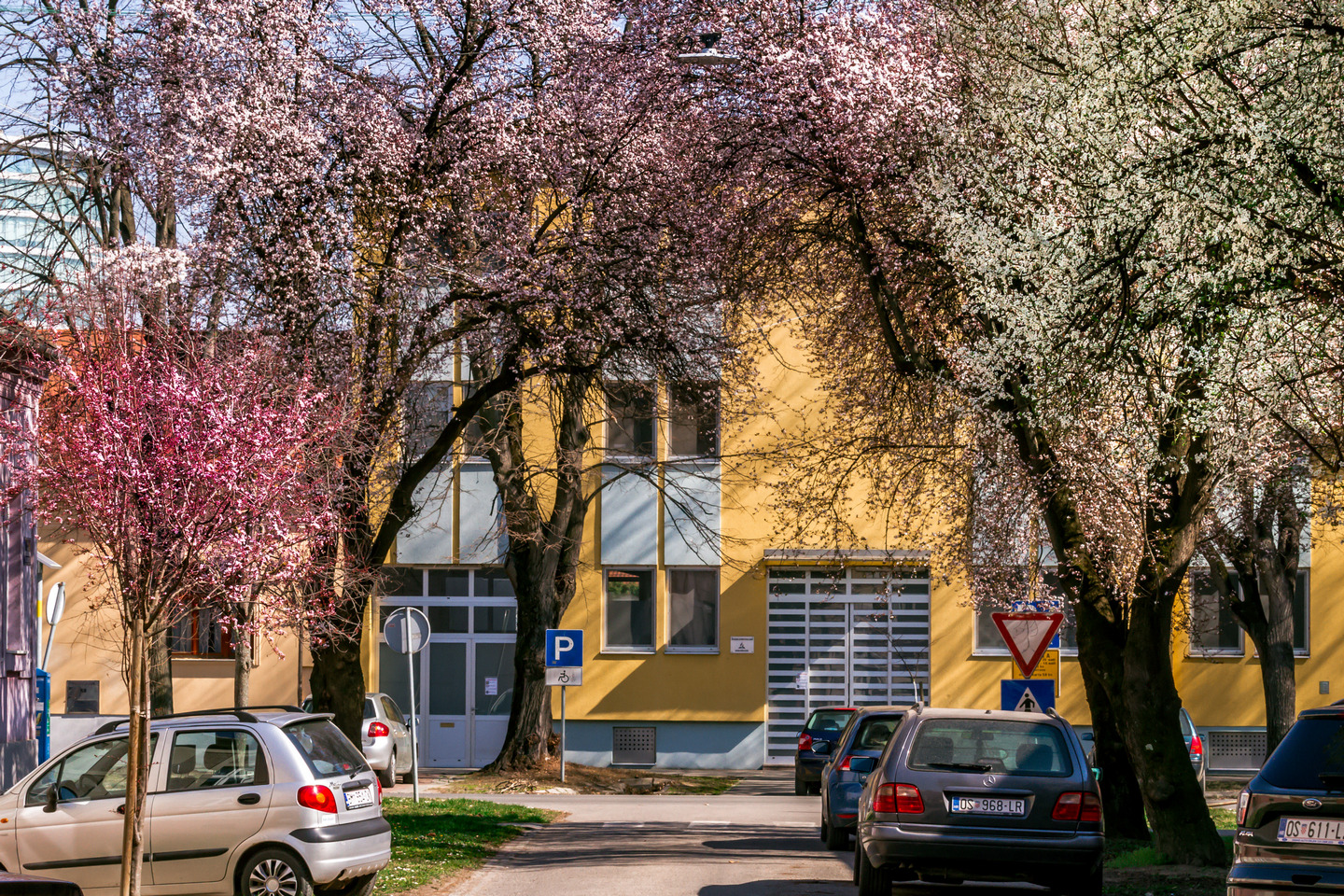 Ulica ringlova u Osijeku