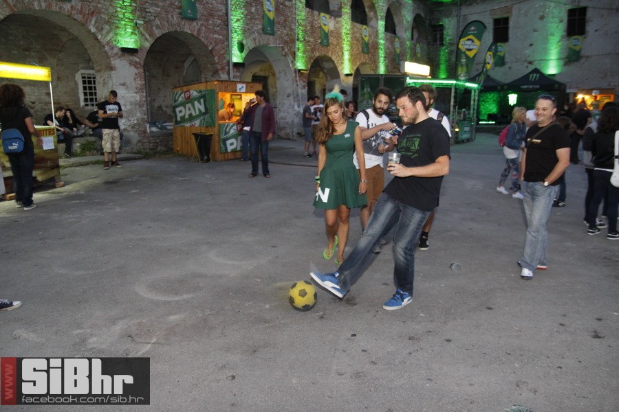 ufo_1_psiho_2014_zoran_10