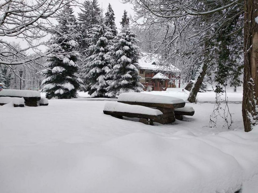 FB_IMG_1519646393376-900×675 FB_IMG_1519646393376-900×675