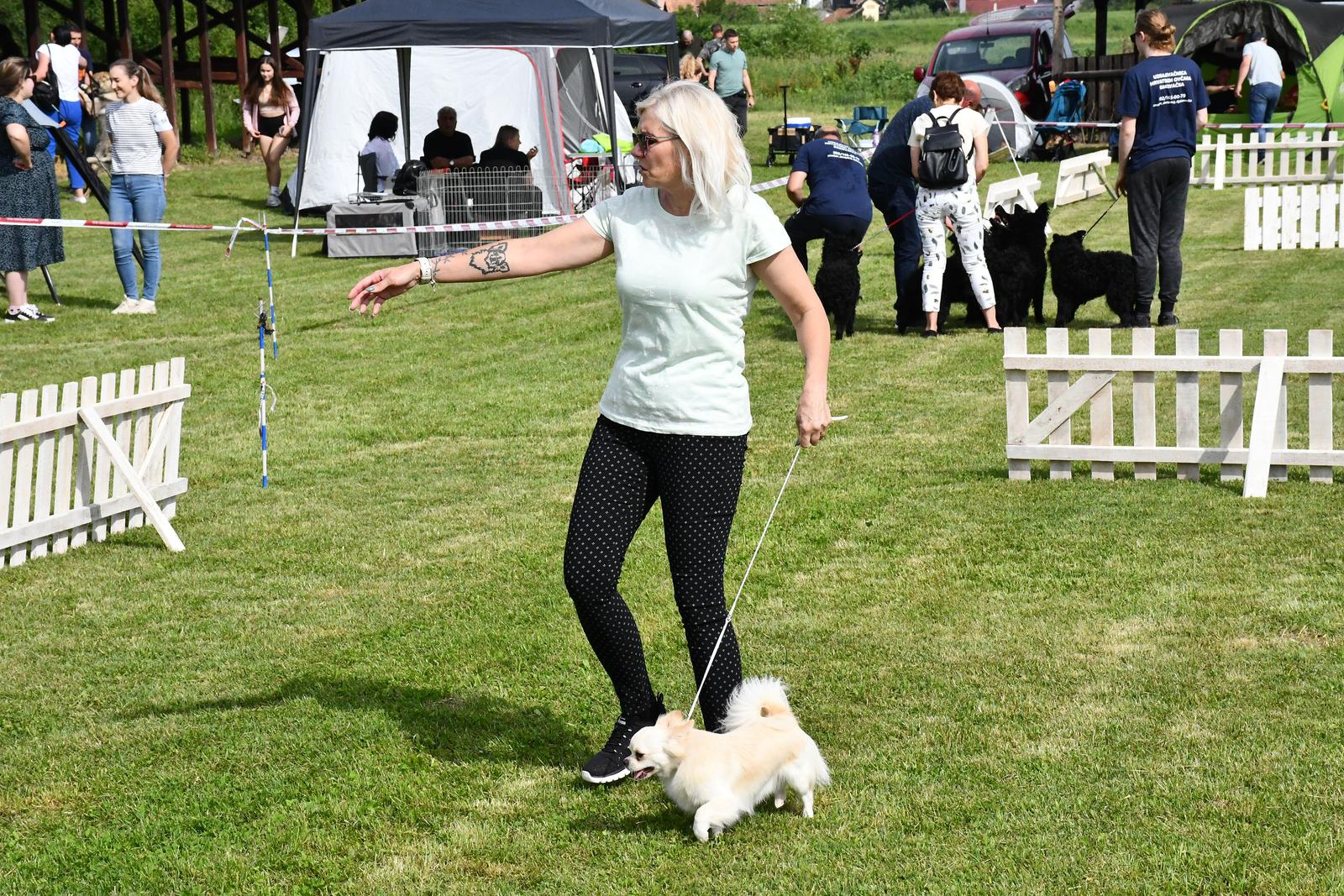 Nacionalna izložba pasa svih pasmina u Slavonskom Brodu