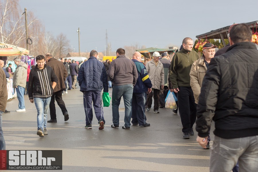autopija_sijecanj_34