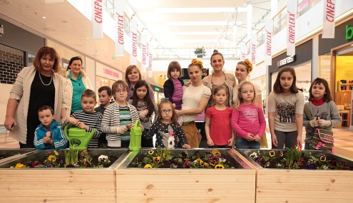 am_proljetna am_proljetna