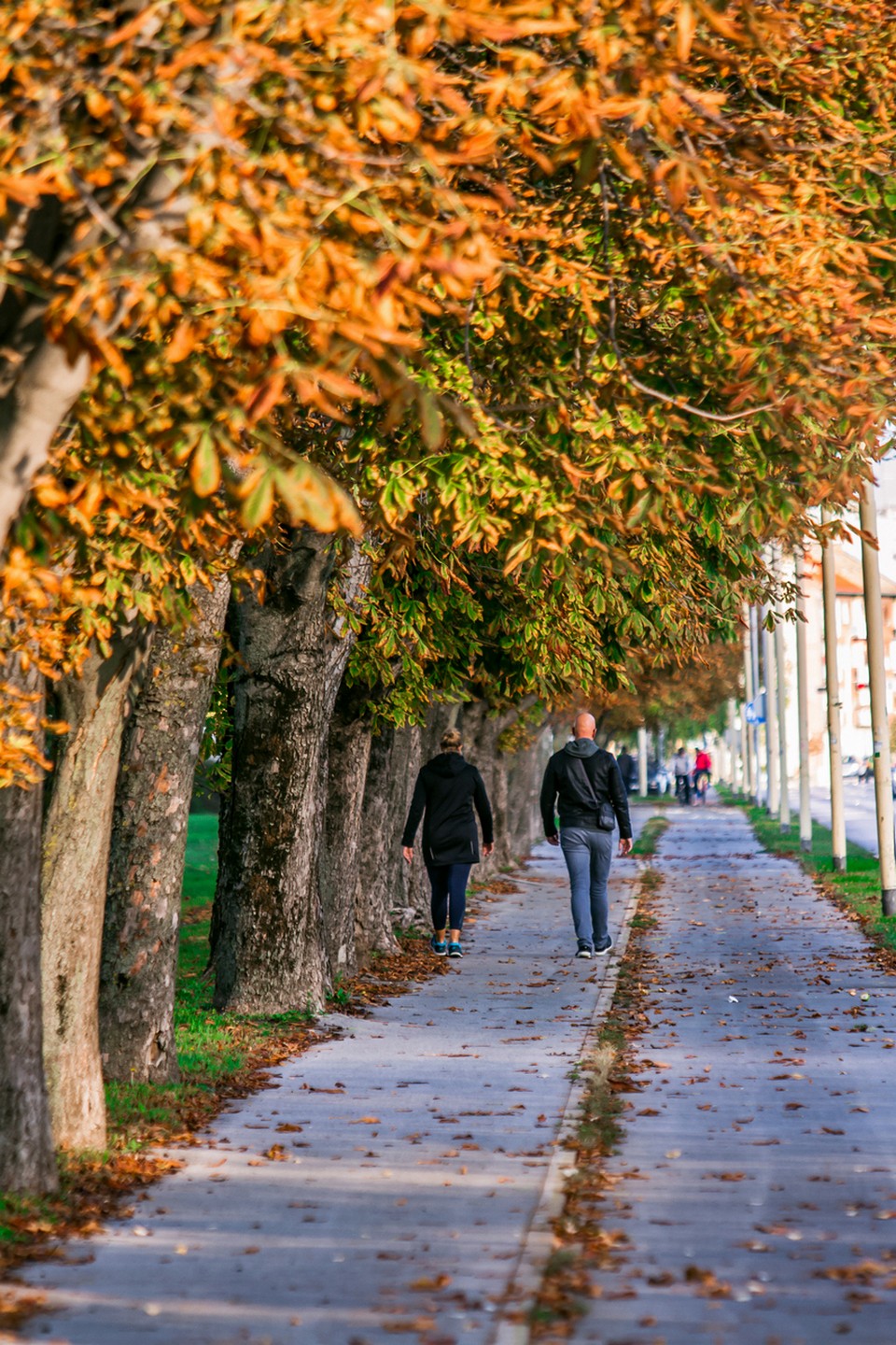 Nedjeljna šetnja promenadom
