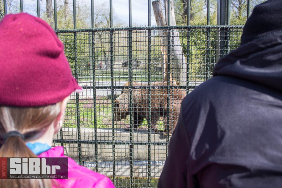 zoo_vrt_45