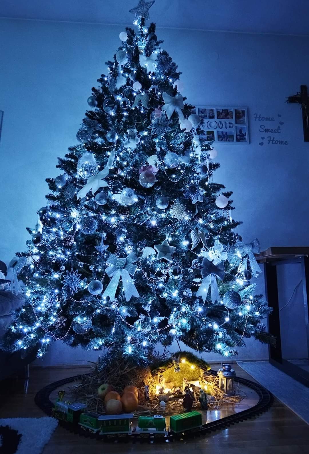 Najljepši borovi na Božić 2023. Najljepši borovi na Božić 2023.