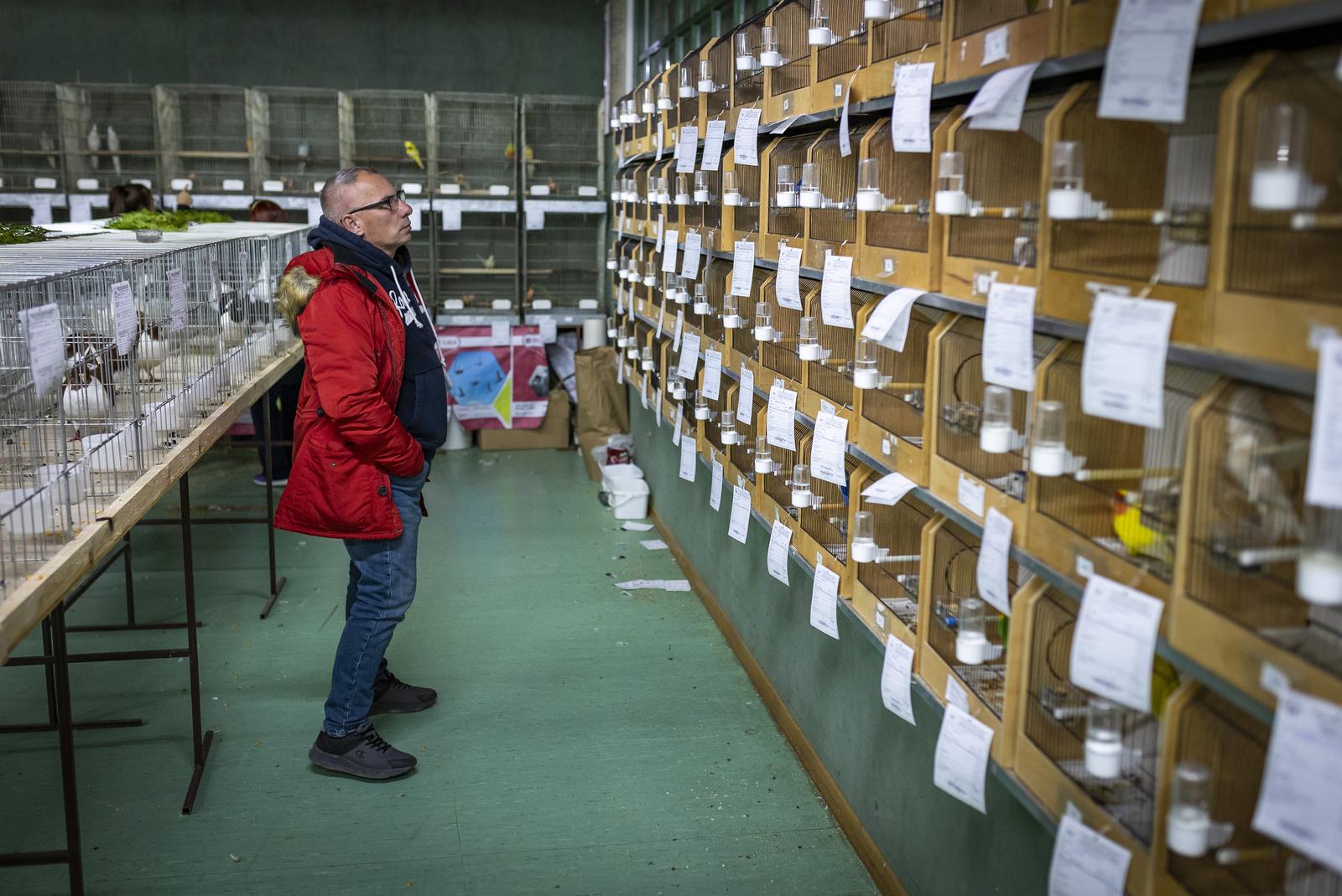 Međunarodna izložba malih životinja “Regija Panonika – Osijek 2024”