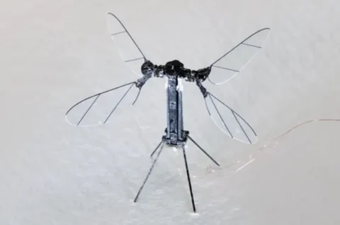 dron komarac