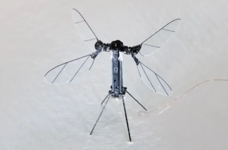 dron komarac