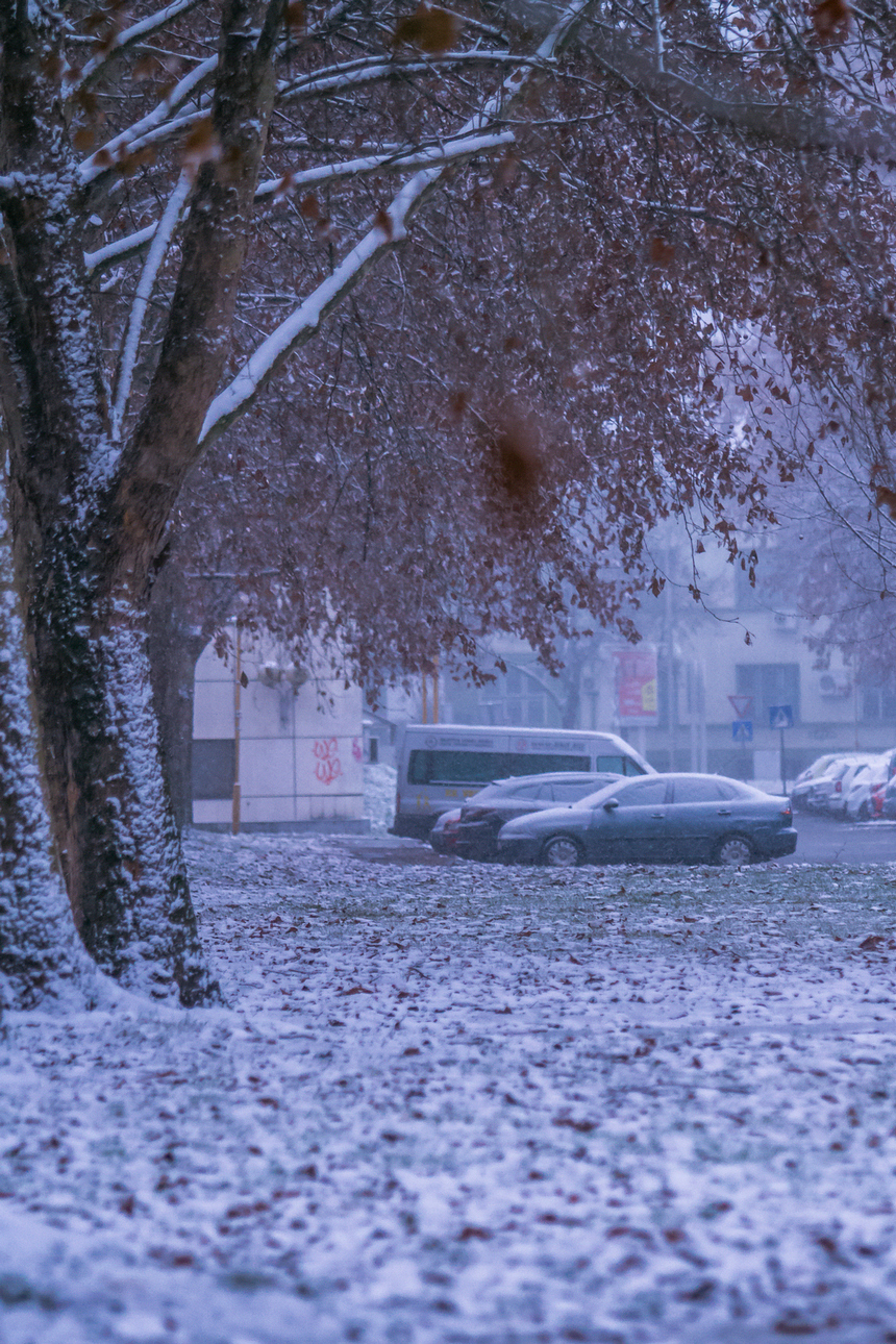Prvi snijeg zabijelio Osijek Prvi snijeg zabijelio Osijek