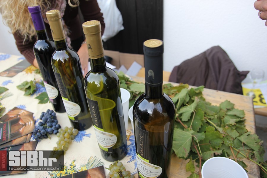 vinski_maraton_zamjevac_SiBhr_6 vinski_maraton_zamjevac_SiBhr_6