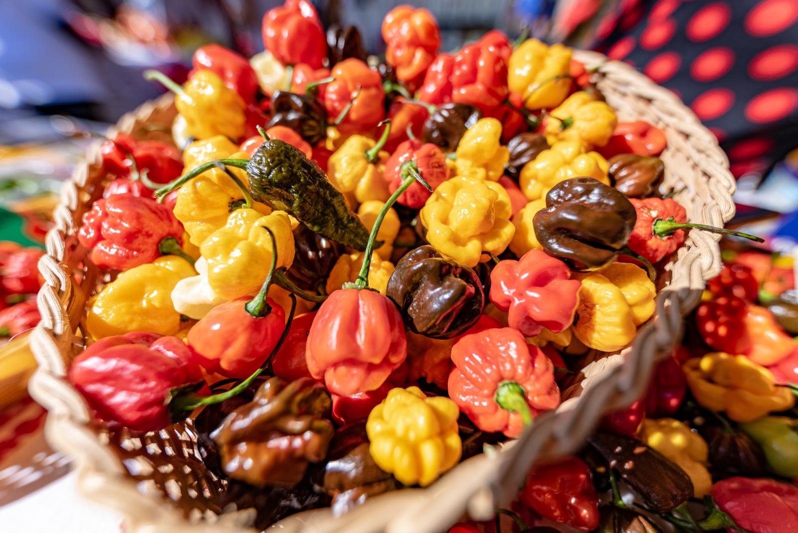 Paprikafest u Baranji 2021.