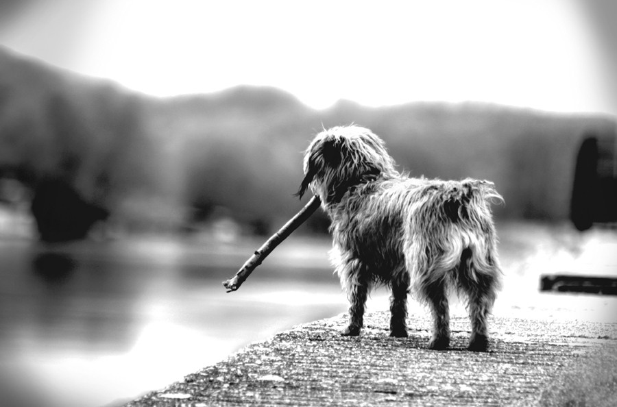 osijek_robert_marinkovic_31