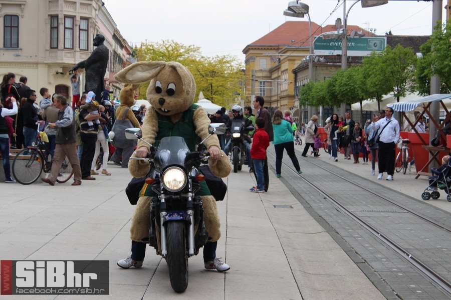 motozeke1804_zoran_osijek_2014_
