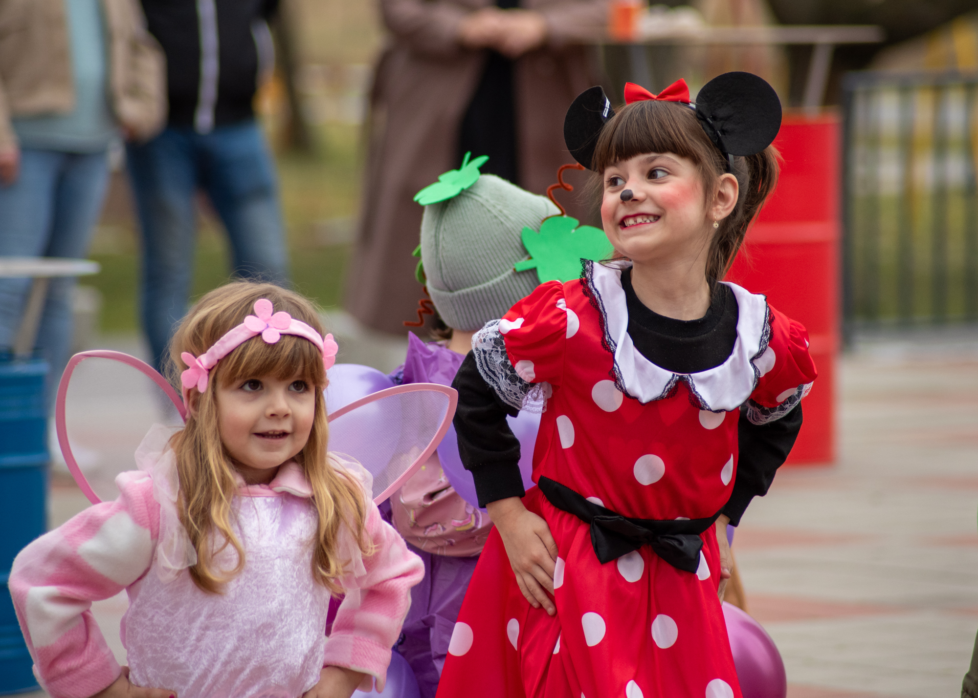 Male Mačkare u Koški