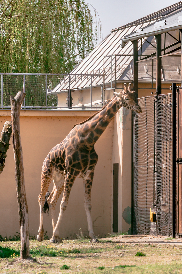 ZOO vrt  Osijek u proljeće