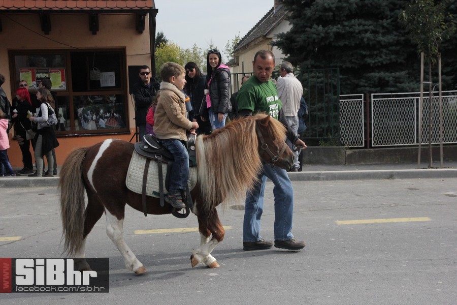 vinski_maraton_zamjevac_SiBhr_1 vinski_maraton_zamjevac_SiBhr_1