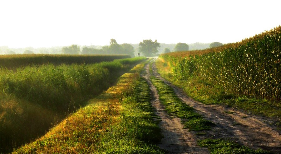 osijek_robert_marinkovic_50