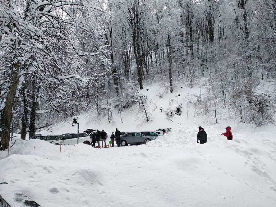 FB_IMG_1519646289946-900×675 FB_IMG_1519646289946-900×675