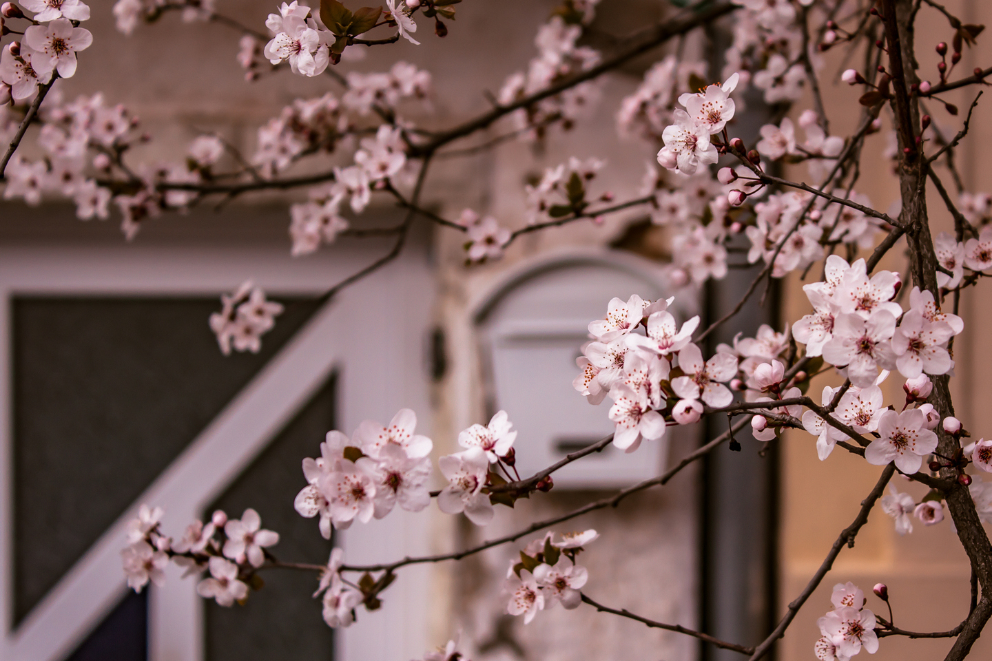 Ulica ringlova u Osijeku