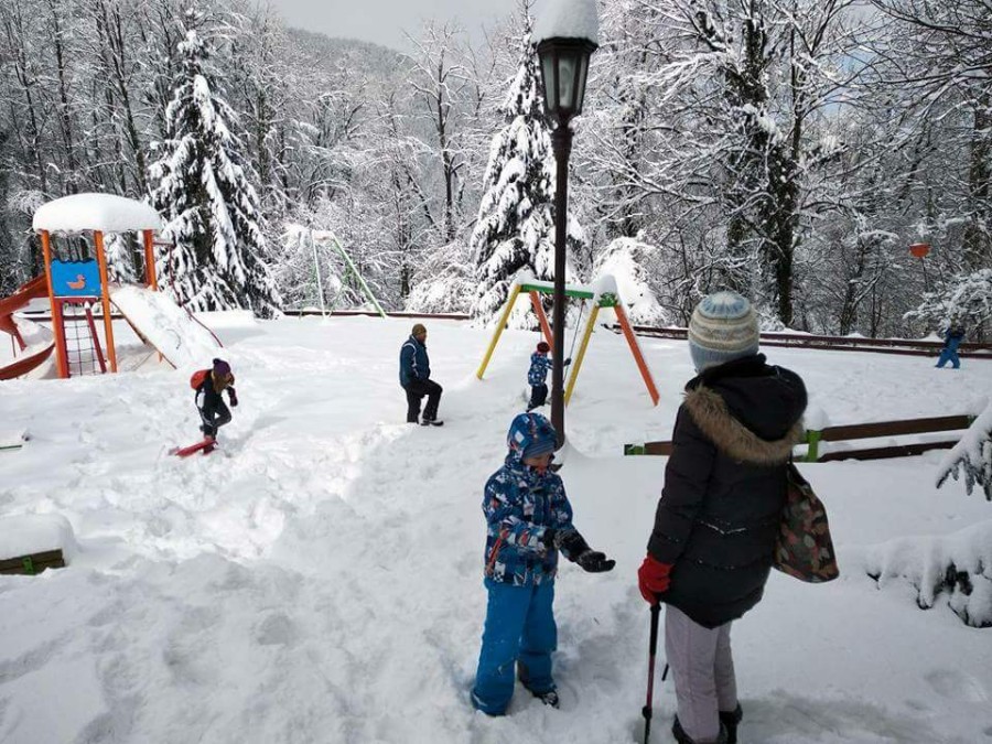 FB_IMG_1519646292759-900×675 FB_IMG_1519646292759-900×675