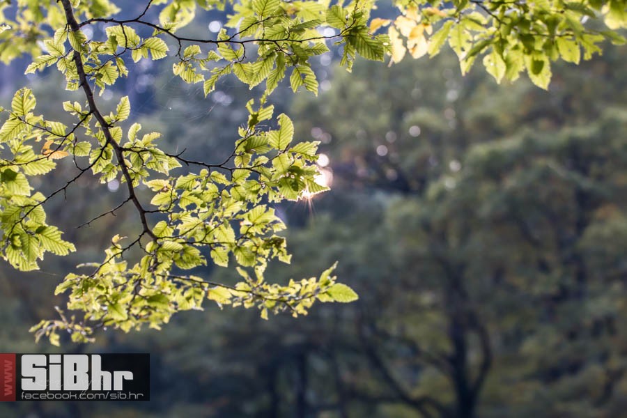 park_prirode_jankovac_21