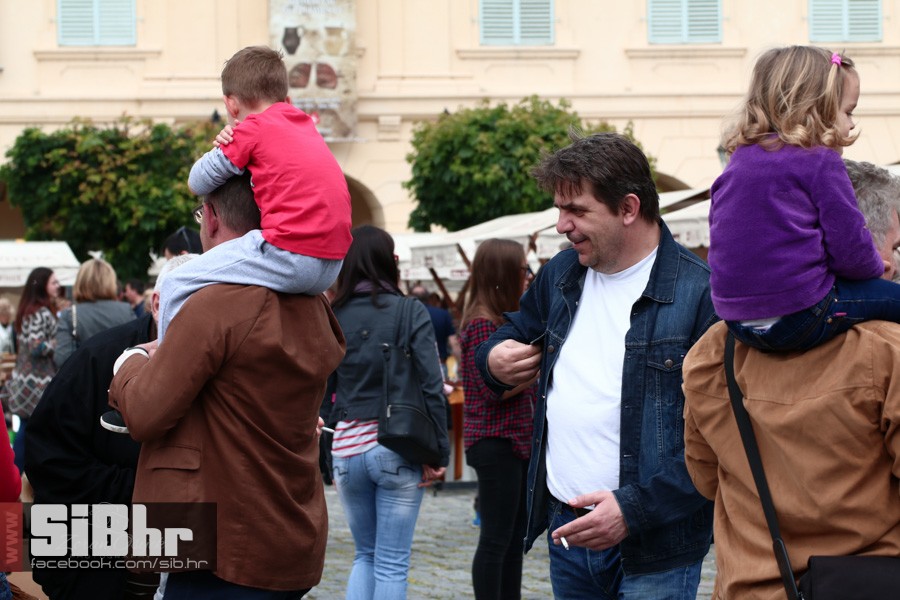 dani_vina_turizma_2016_sibhr_12