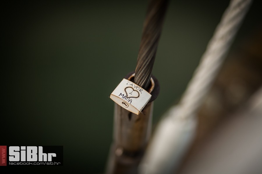 lokoti_sibhr2014_56