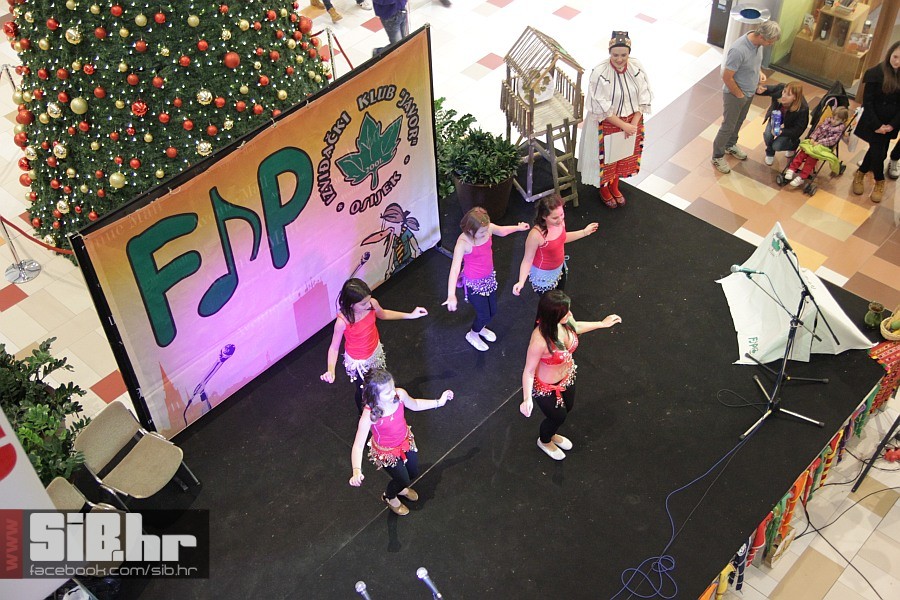 izvidjaci_am_sibhr_28