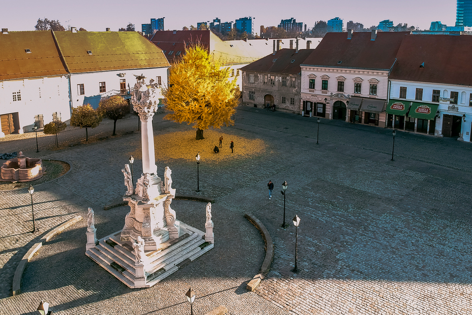 Ginko u osječkoj Tvrđi
