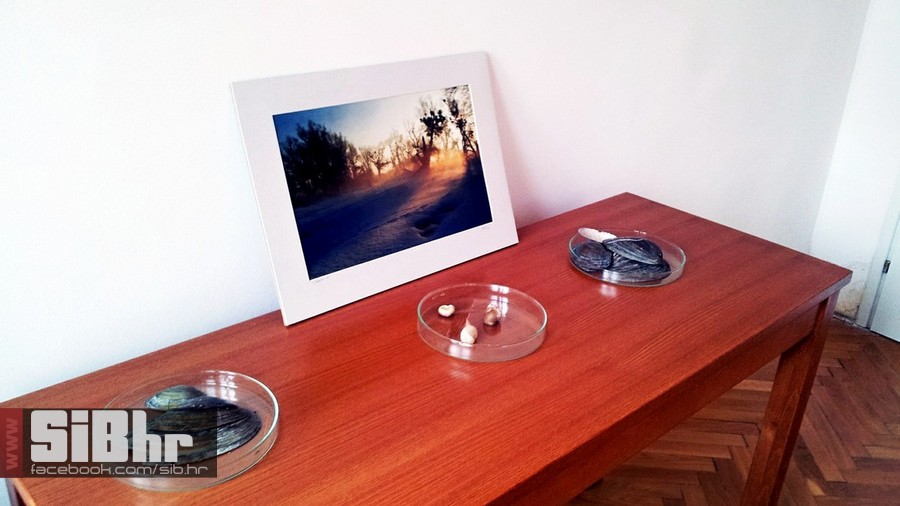 kopacki_ana_misin_sibhr_10