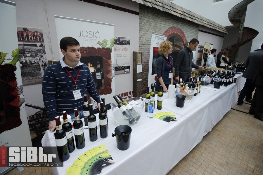 wine_fest_osijek_SiBhr_43