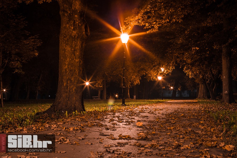 osjecka_jesen_19_21_10_2013_mba
