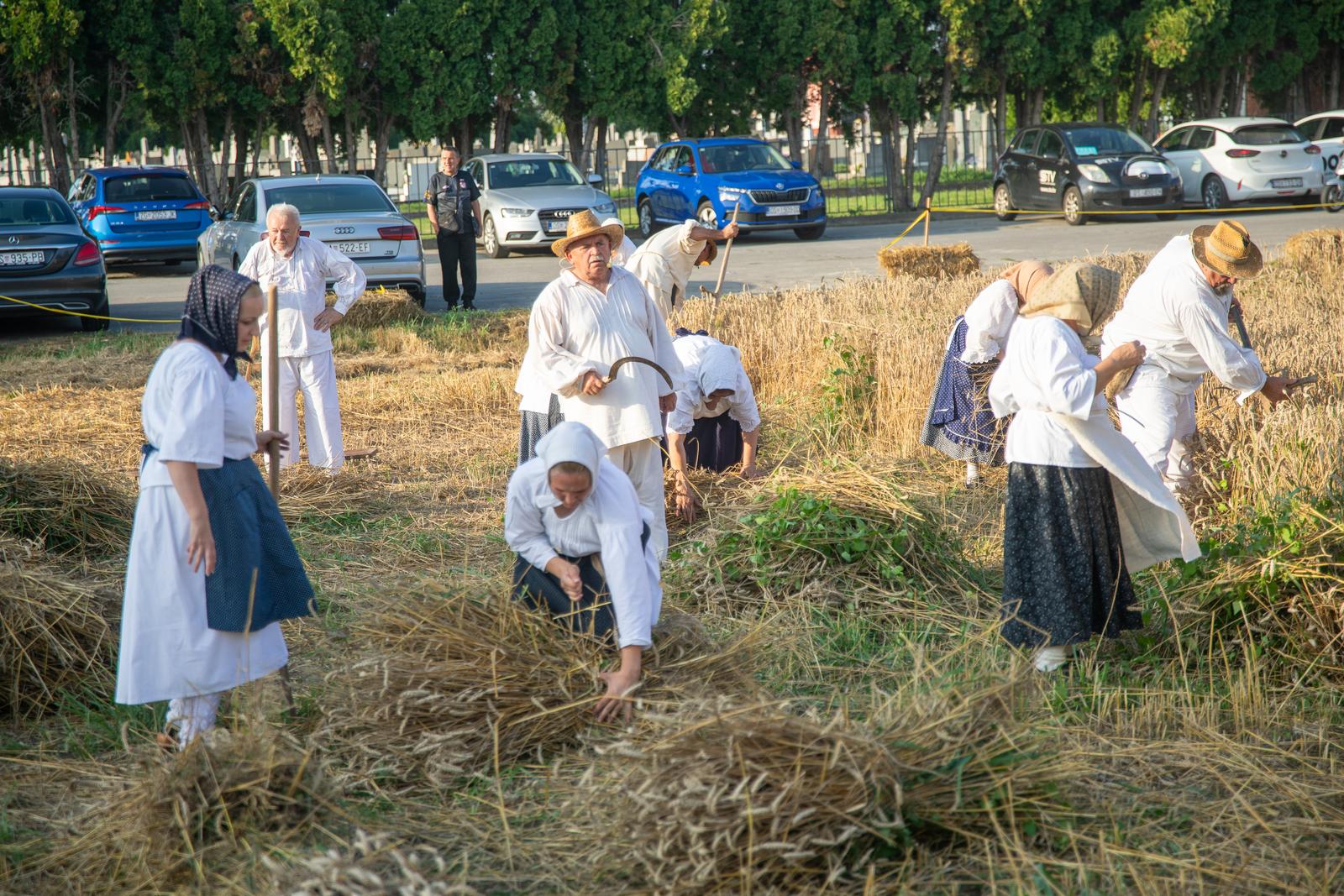 Održane jubilarne 30. Petrijevačke žetvene svečanosti