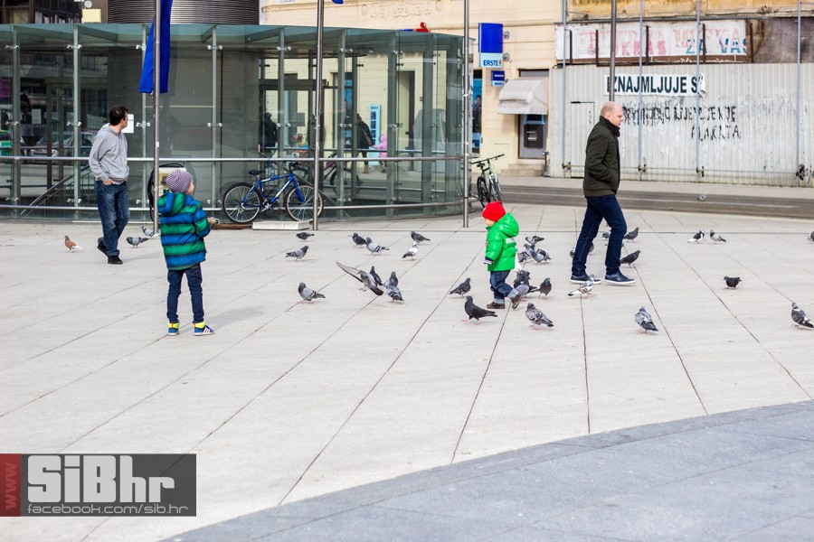 love_veljaca_2016_sibhr_26 love_veljaca_2016_sibhr_26