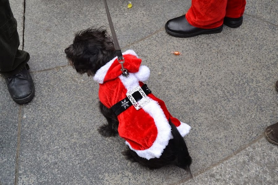 motomrazovi712_01 motomrazovi712_01