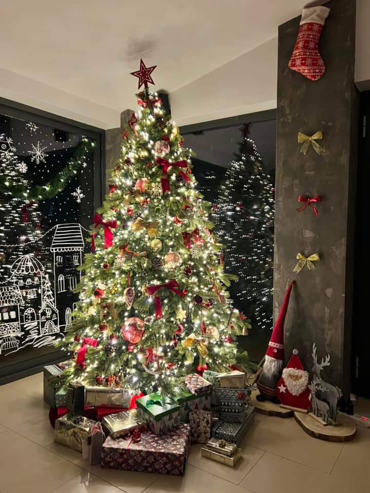 Najljepši borovi na Božić 2023. Najljepši borovi na Božić 2023.