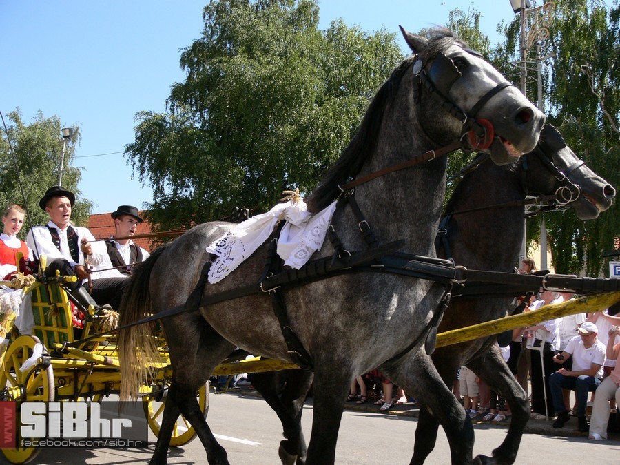 49djakovacki_vezovi_220