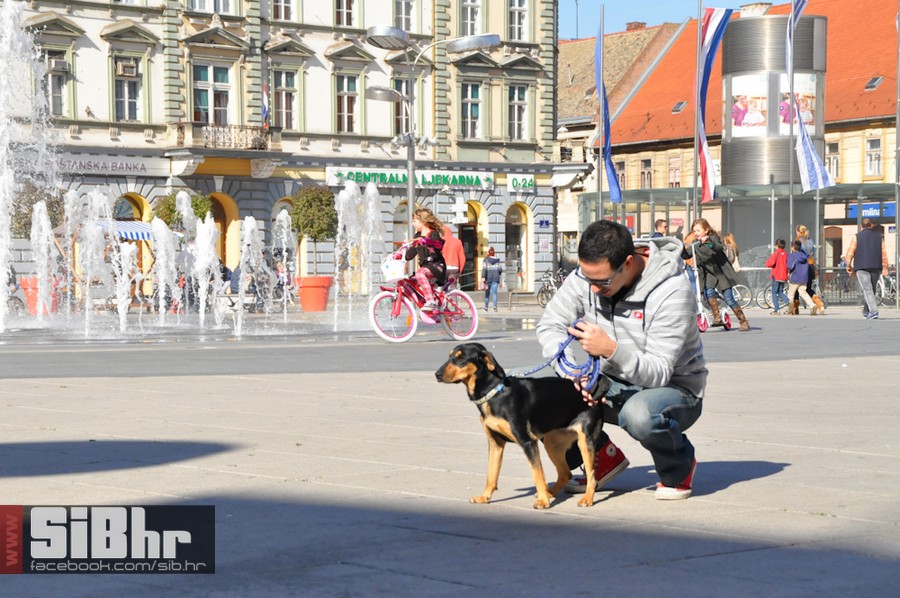 subota_osijek_SiBhr_3