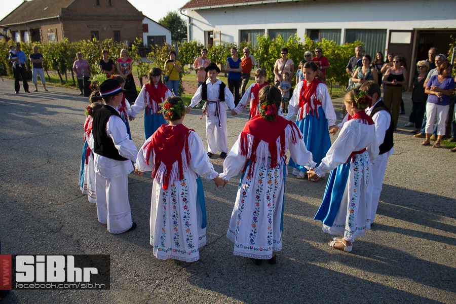 ilocka_berba_1_SiB_hr_06