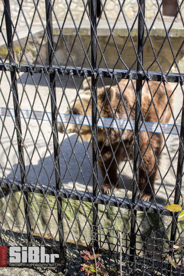 zoo_vrt_44