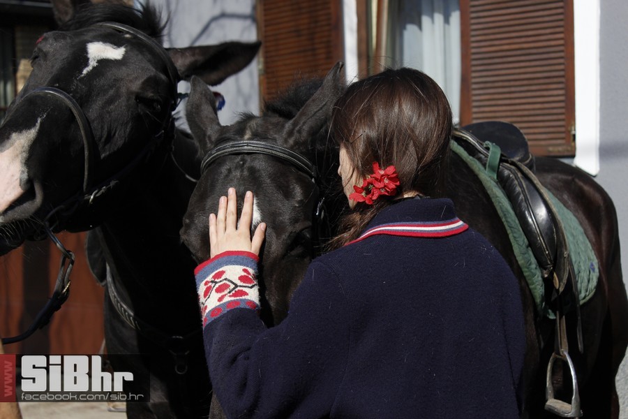 baranja_jahanje_14 baranja_jahanje_14