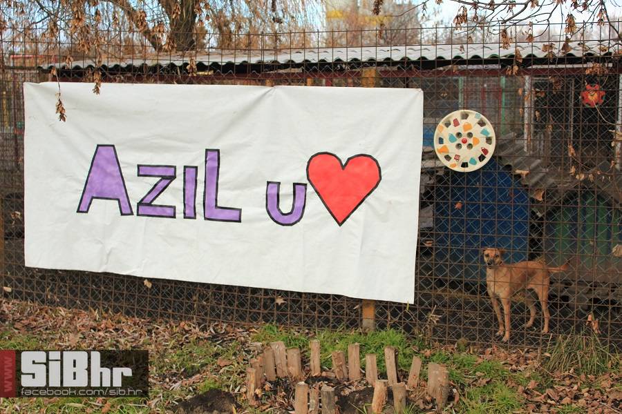 azil_bozic_setnja_20