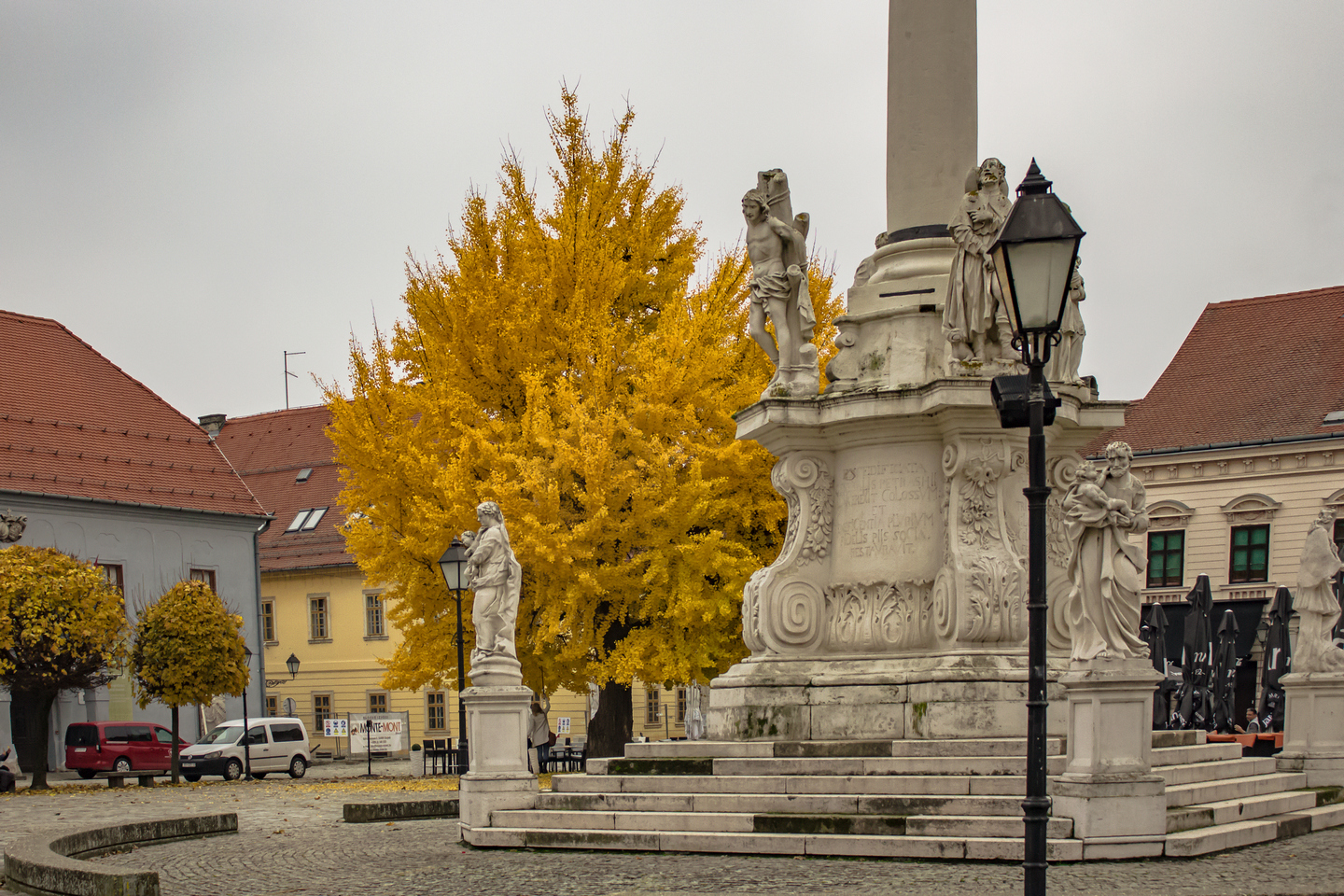Ginko u Tvrđi i ove godine pokazuje svu svoju ljepotu i raskoš