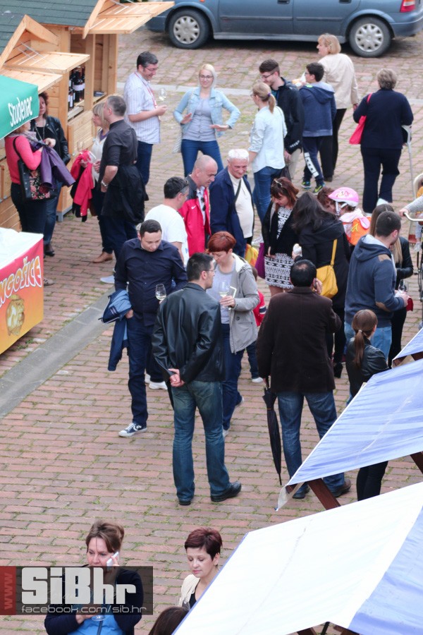 dani_vina_turizma_2016_sibhr_16