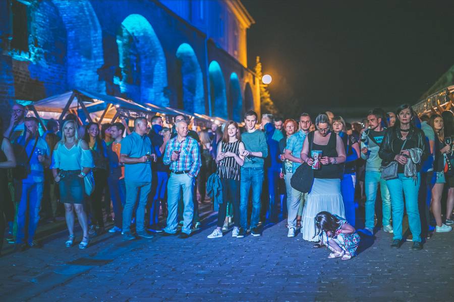 vecer_vina_i_umjetnosti_osijek_