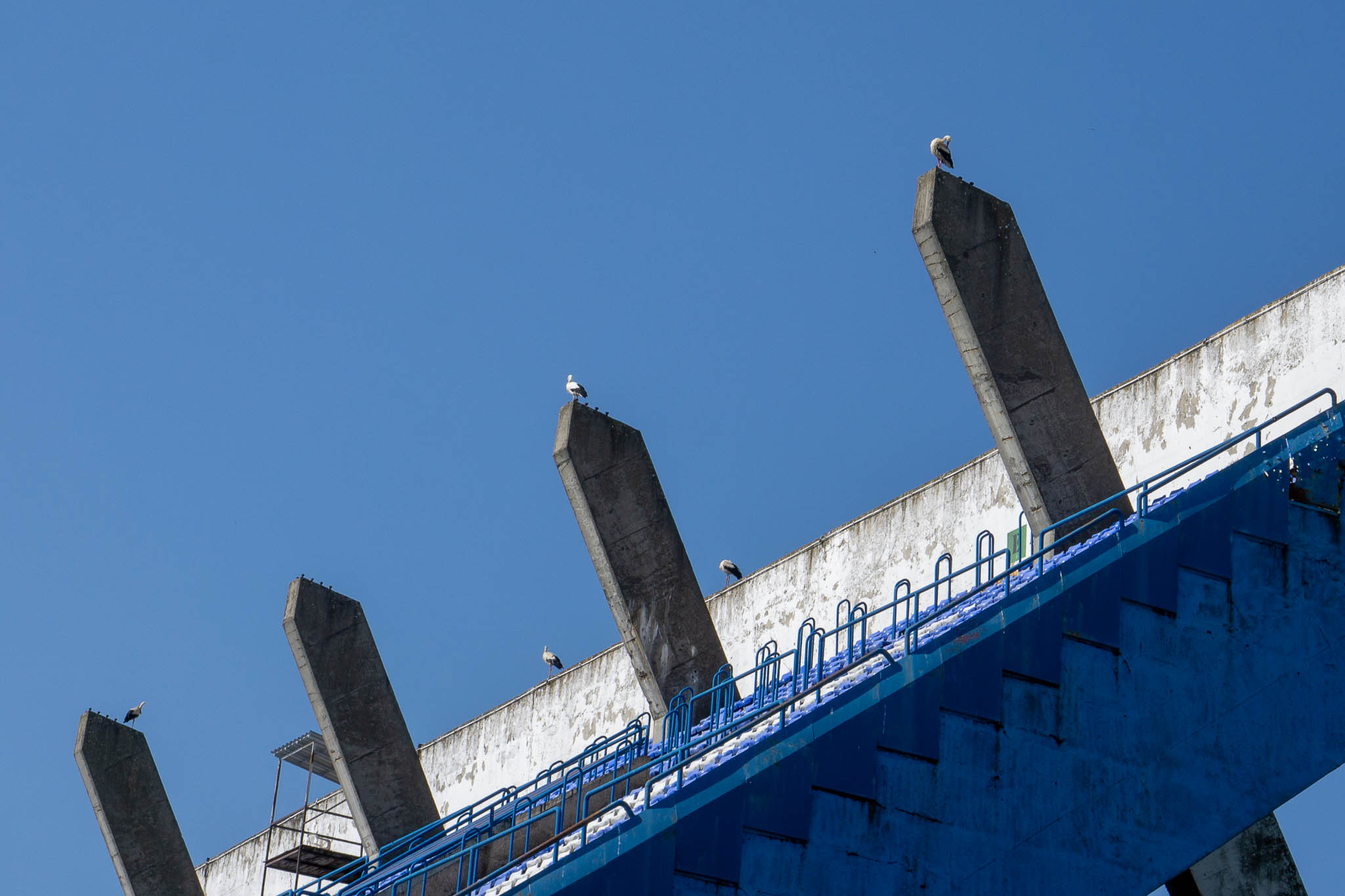 Rode na Gradskom vrtu Rode na Gradskom vrtu