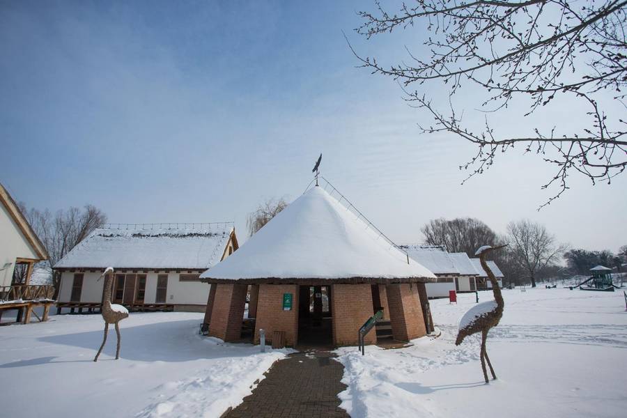 PXL_010318_19899696