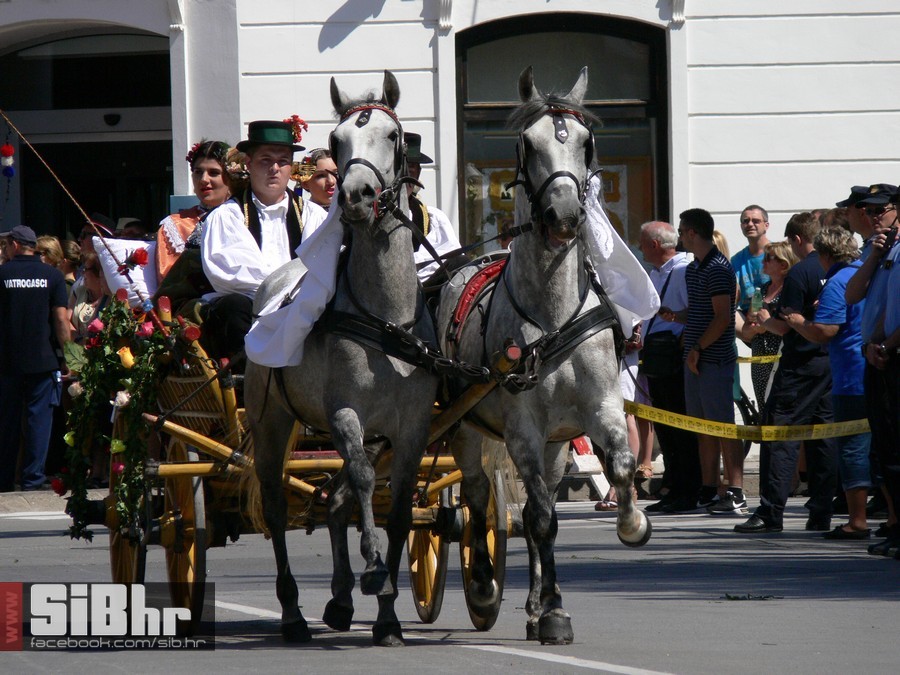49djakovacki_vezovi_219